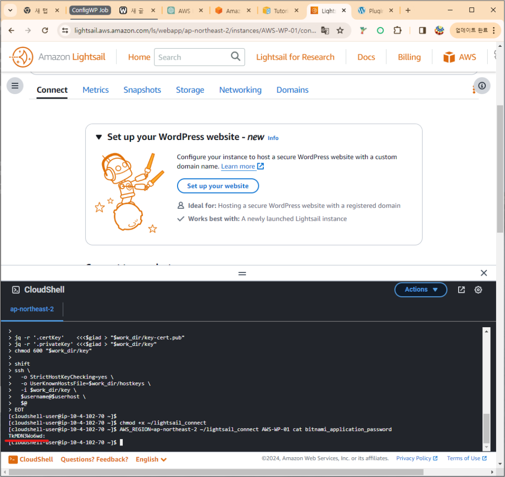 AWS Lightsail, 워드프레스 블로그 사이트 설정하기 14 Beyond Basics: Crafting Your WordPress Experience